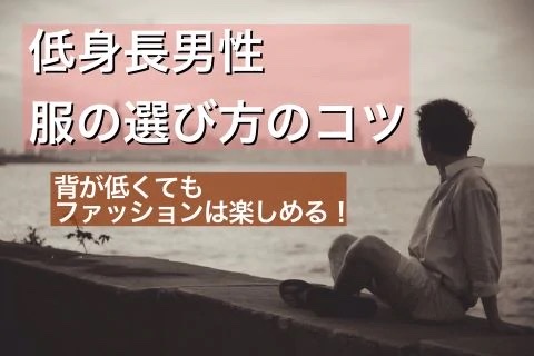 背が低い 上下 服 色 オファー